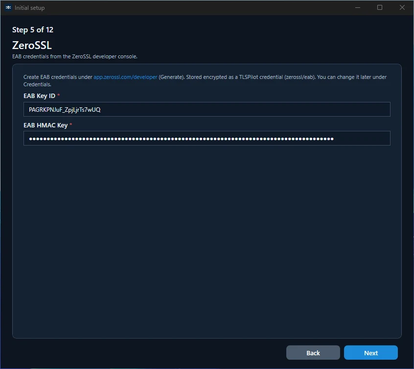 Initial Setup Wizard: ZeroSSL