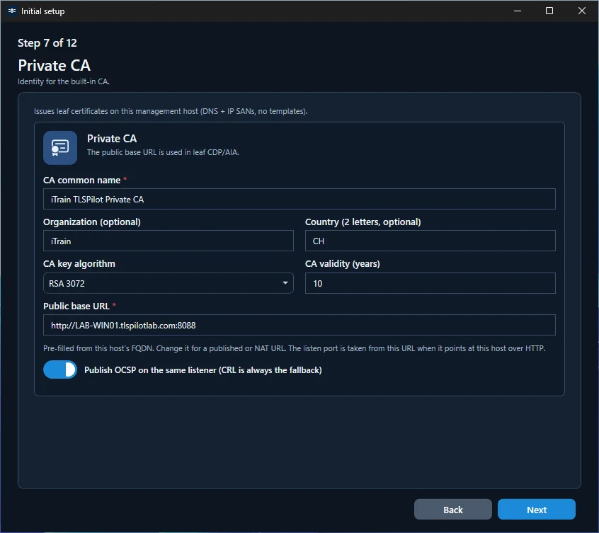 Initial Setup Wizard: Private CA