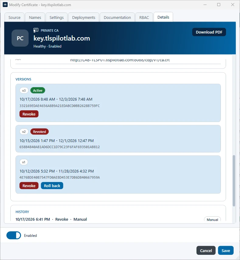 Versions on the tab Details