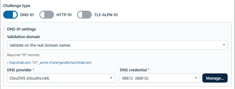 DNS-01 settings of an ACME certificate