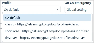 Profiles offered by the ACME provider in the field Profile