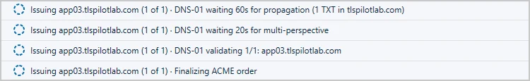 Status bar while TLSPilot waits for propagation and multi-perspective validation