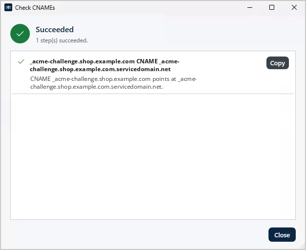 Check CNAMEs confirms the CNAME records of DNS-01 Alias Mode