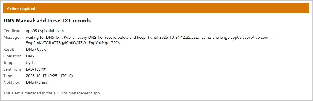 Email with the TXT record