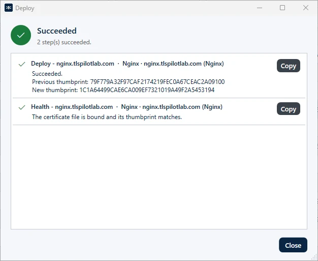 Result of the Nginx deployment with Health check