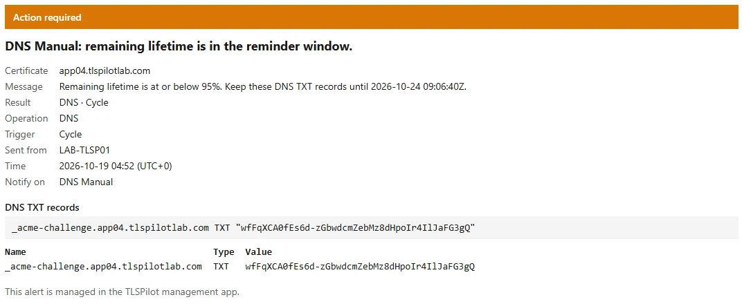 Reminder email of DNS Manual with the TXT records