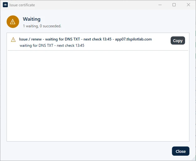 Status Waiting during manual DNS validation